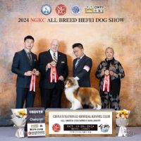 PRC CH Luckbag's Lara